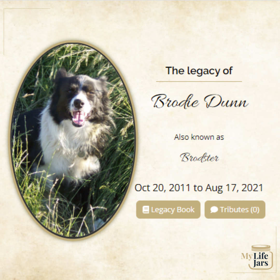 A screen shot from My LifeJars Pet memorial dog laying in the grass in an oval frame beige background